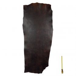 Collet Vachette ép. 3,5 mm tannage végétal Marron foncé