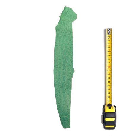 Peau de Crocodile Vert d'eau