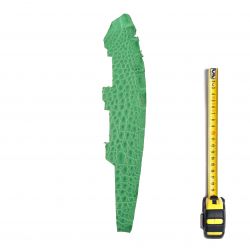 Peau de Crocodile Vert d'eau