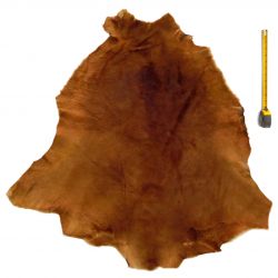 Peau entière de Kangourou à poils ras Marron
