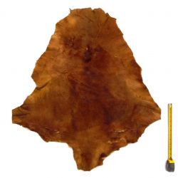 Peau entière de Kangourou à poils ras Marron