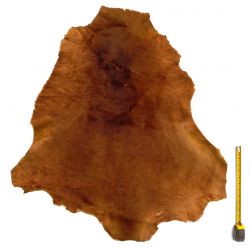Peau entière de Kangourou à poils ras Marron