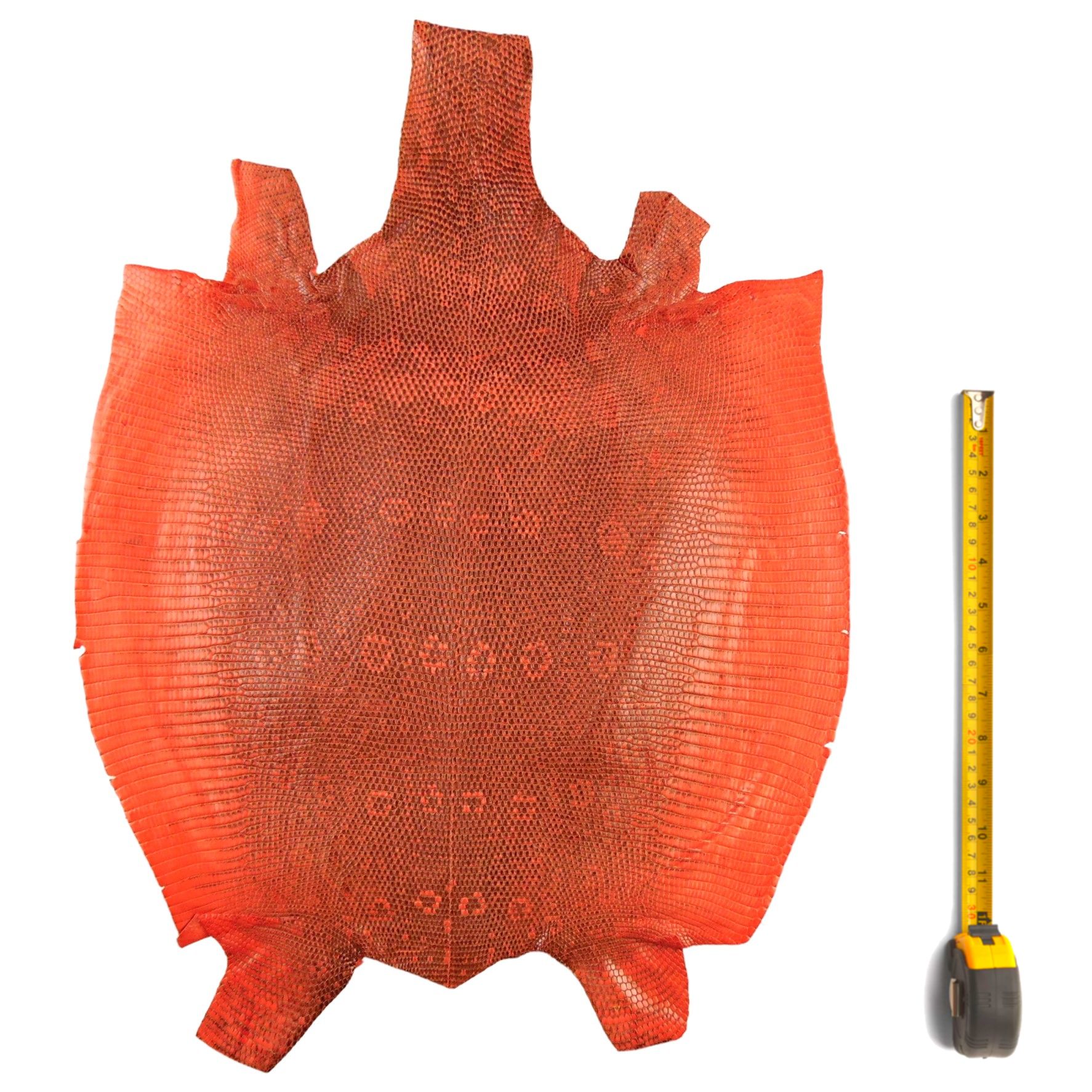 Ceinture en peau de lézard noisette largeur 30 - Lez179