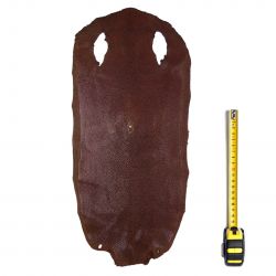 Peau entière de Raie Galuchat Marron foncé