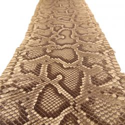 Peau de Serpent Pyhon longueur 113 cm