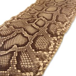 Peau de Serpent Pyhon longueur 105 cm