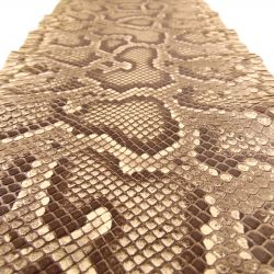 Peau de Serpent Pyhon longueur 107 cm