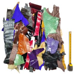 10 morceaux de cuir Crocodile multicolores