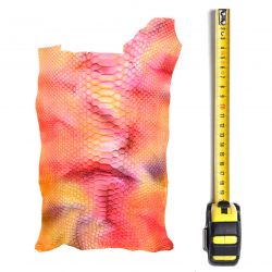 Peau de Serpent multicolores