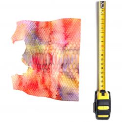 Peau de Serpent multicolores