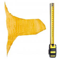 Peau de Crocodile Marron