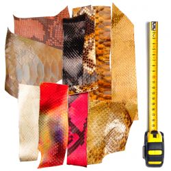 10 morceaux de cuir Serpent multicolores
