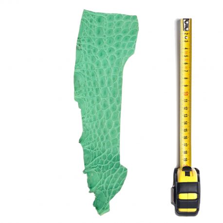 Peau de Crocodile Vert d'eau