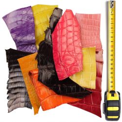10 morceaux de cuir Crocodile multicolores
