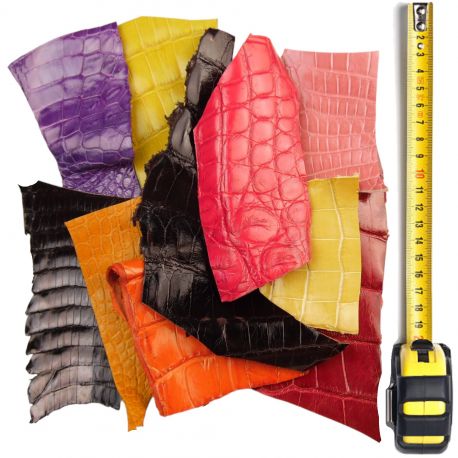 10 morceaux de cuir Crocodile multicolores