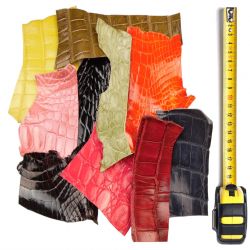 10 morceaux de cuir Crocodile multicolores