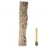 Peau de Serpent Python cuir multicolore