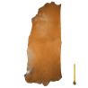 Collet Vachette ép. 2,2mm tannage végétal cuir Marron 2nd choix