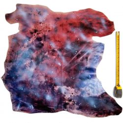 Peau entière de Chèvre cuir Rouge patiné main