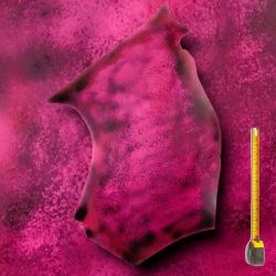 Cuir tannage végétal Vachette 2mm Rose antique patiné main