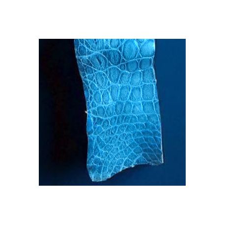 Peau de Crocodile cuir Bleu