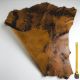Peau entière d'Agneau Marron Antique
