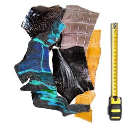 5 morceaux de cuirs Exotiques multicolores
