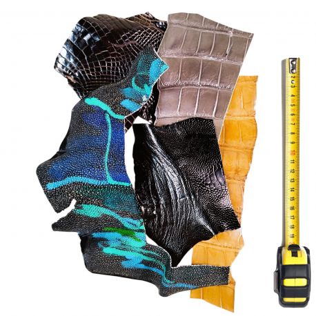 5 morceaux de cuirs Exotiques multicolores