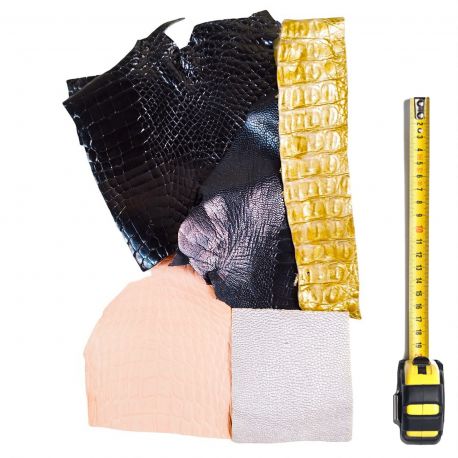 5 morceaux de cuirs Exotiques multicolores