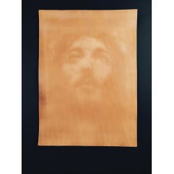 Pièce de cuir épais avec impression peau Vachette tannage végétal Naturel dim. 32x23 cm ép. 3 mm