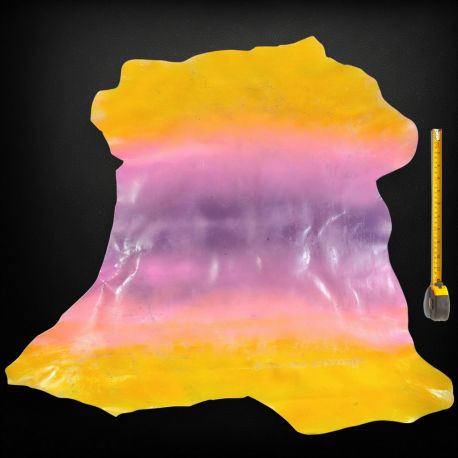 Peau entière de Chèvre finition patinée