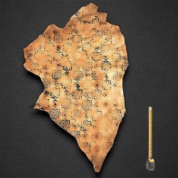 Peau de Chèvre Floral Collection