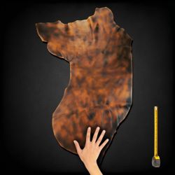 Peau de cuir Vachette Marron finition patinée