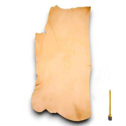 Collet entier Tannage végétal cuir Vachette 2nd choix ép. 3,3 mm coloris Naturel