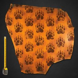 Cuir de Vachette Marron tannage végétal Bear Paw Collection