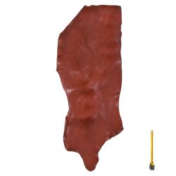 Cuir Veau gras ép. 1,4 mm peau marron