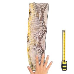 Peau de Serpent Python cuir multicolore