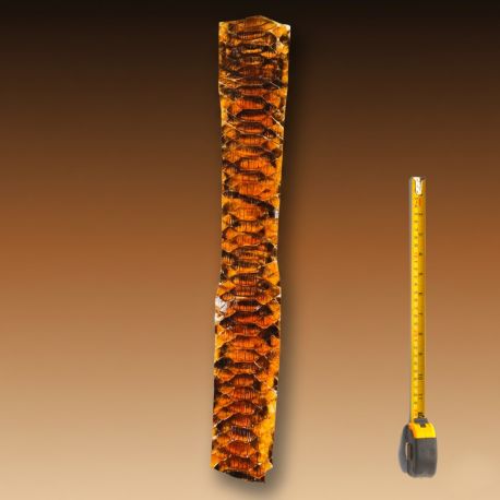 Peau de Serpent Python cuir multicolore