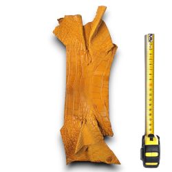 Peau de Crocodile cuir Marron