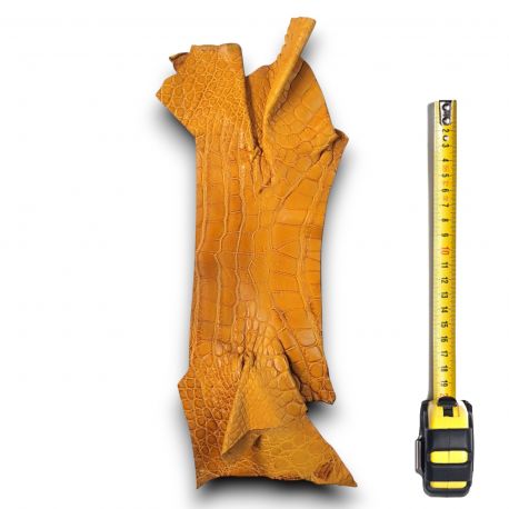 Peau de Crocodile cuir Marron
