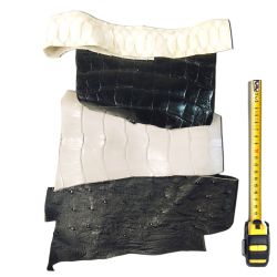 4 morceaux de cuirs Exotiques peaux multicolores