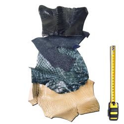 4 morceaux de cuirs Exotiques peaux multicolores