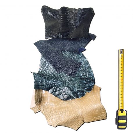 4 morceaux de cuirs Exotiques peaux multicolores