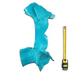 Peau de Crocodile cuir Bleu