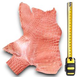 Peau de Crocodile cuir Rose