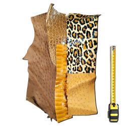 4 morceaux de cuirs Exotiques peaux multicolores