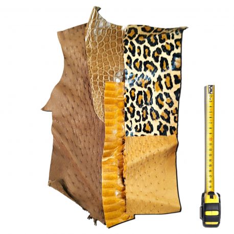 4 morceaux de cuirs Exotiques peaux multicolores