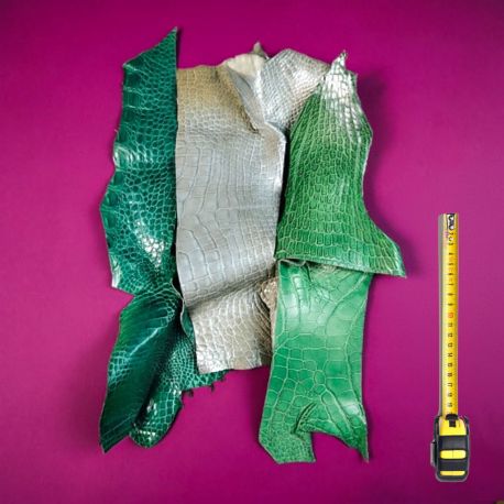 4 grands morceaux de cuirs Exotiques peau coloris Vert