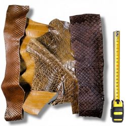 4 grands morceaux de cuirs Exotiques peau coloris Marron