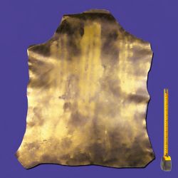 Peau entière de Chèvre dorée